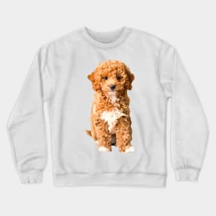 cockapoo doodle Crewneck Sweatshirt